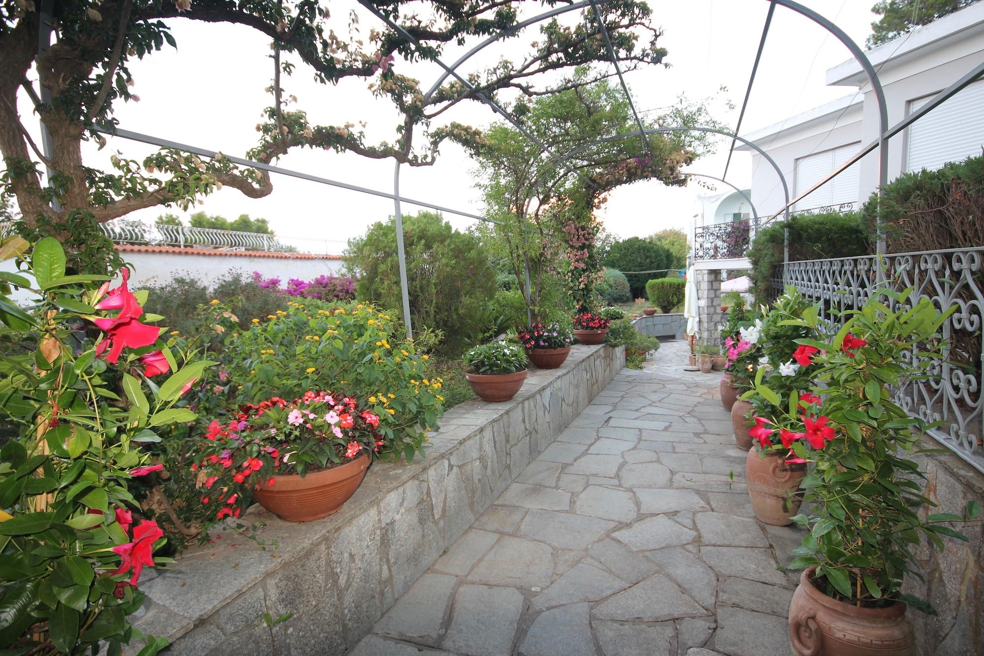 Comodidades del Alojamiento Cavalluccio Marino