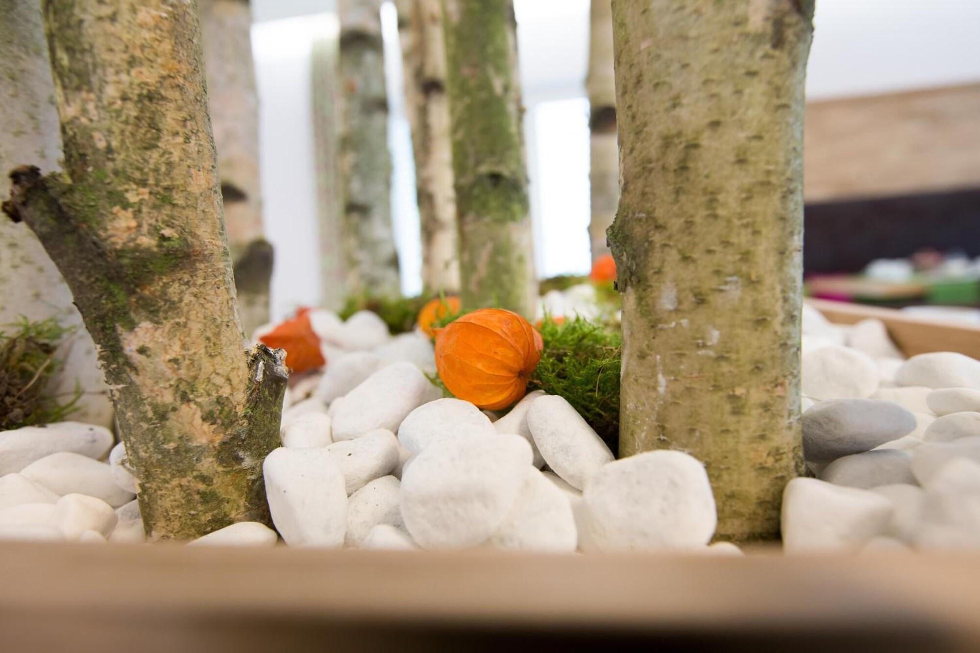 Spa Hotel Bauer garni