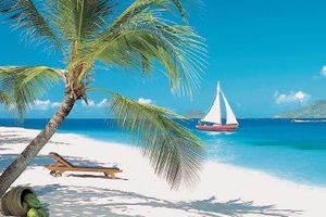 Alojamiento - The Palm Island Resort