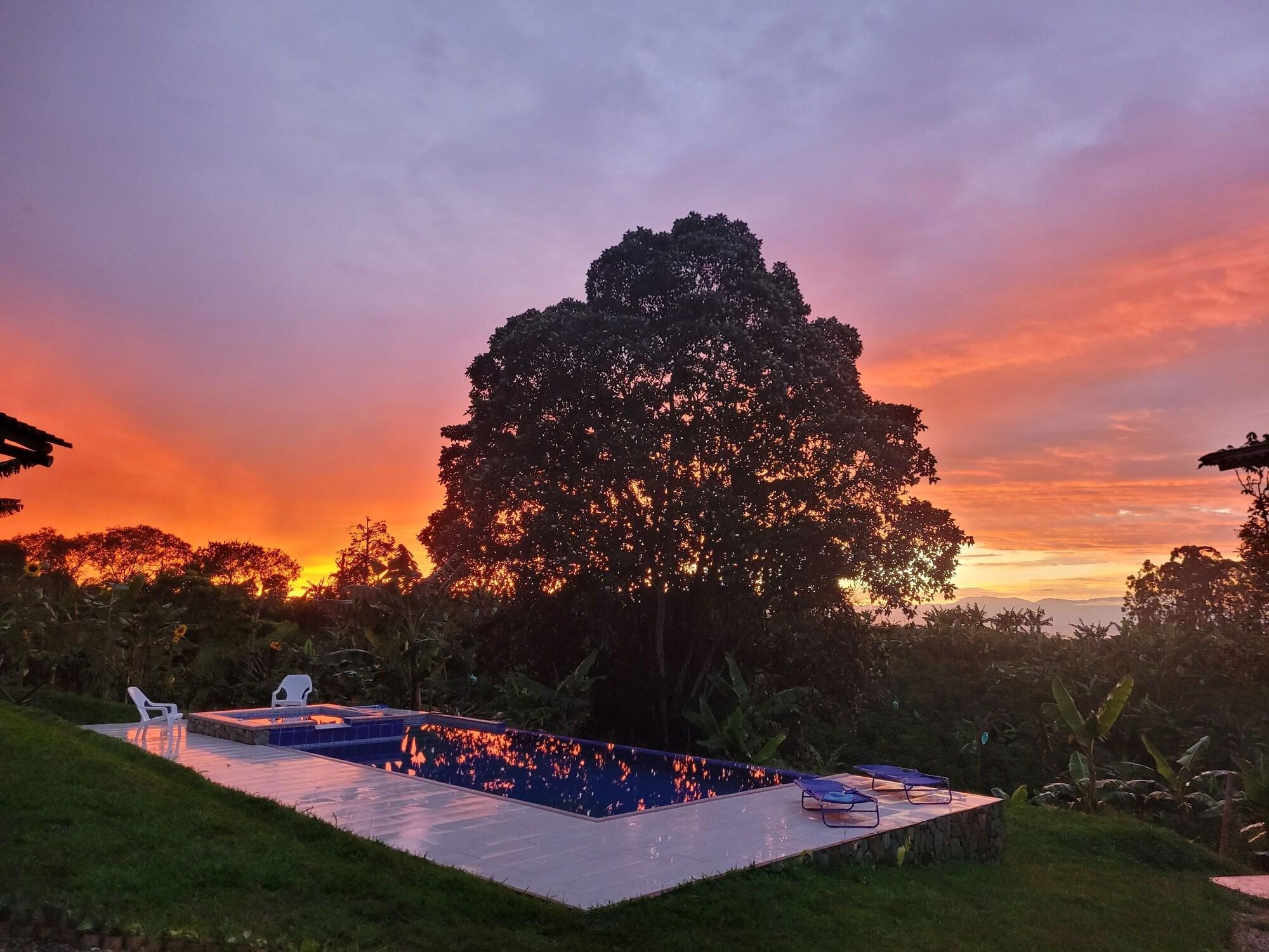 Vista Piscina Tanager Lodge Quimbaya