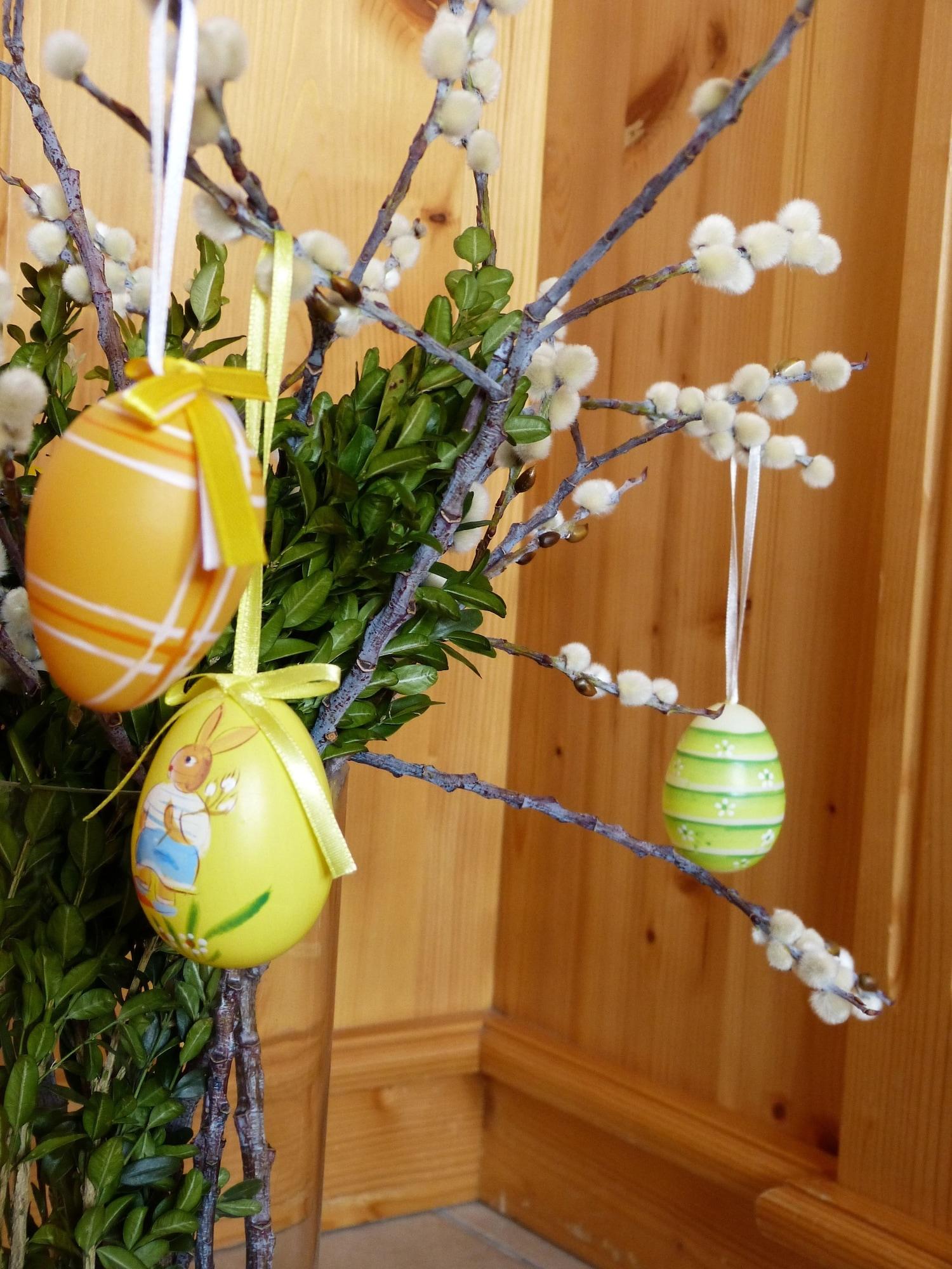 Bar/Salón Hotel Eckartauerhof