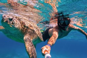 Actividad - Tour a Playa Balandra y snorkel con lobos marinos