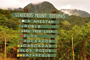 Alojamiento - Mount Totumas Cloud Forest