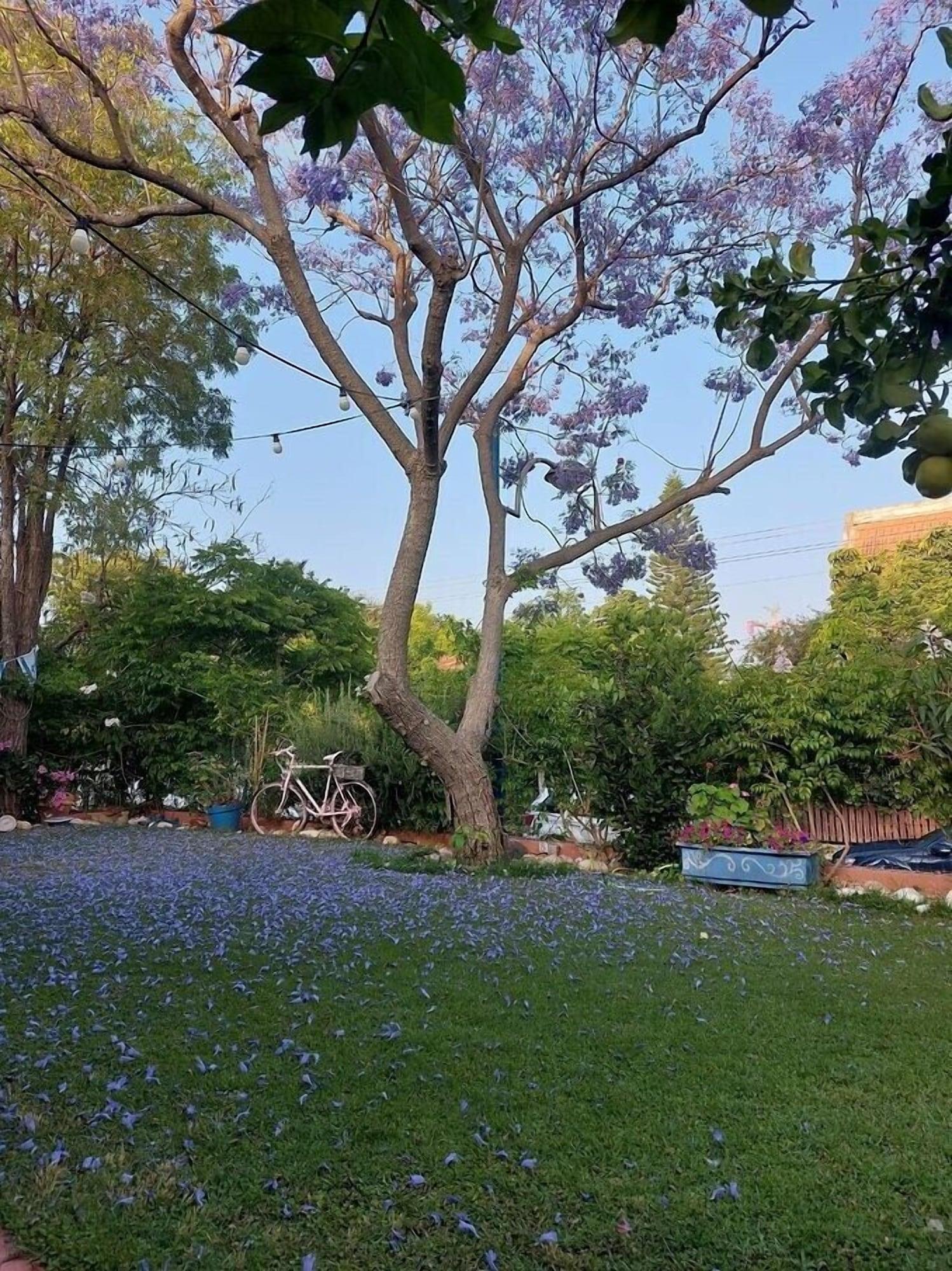 Vista Exterior Barud Gedera