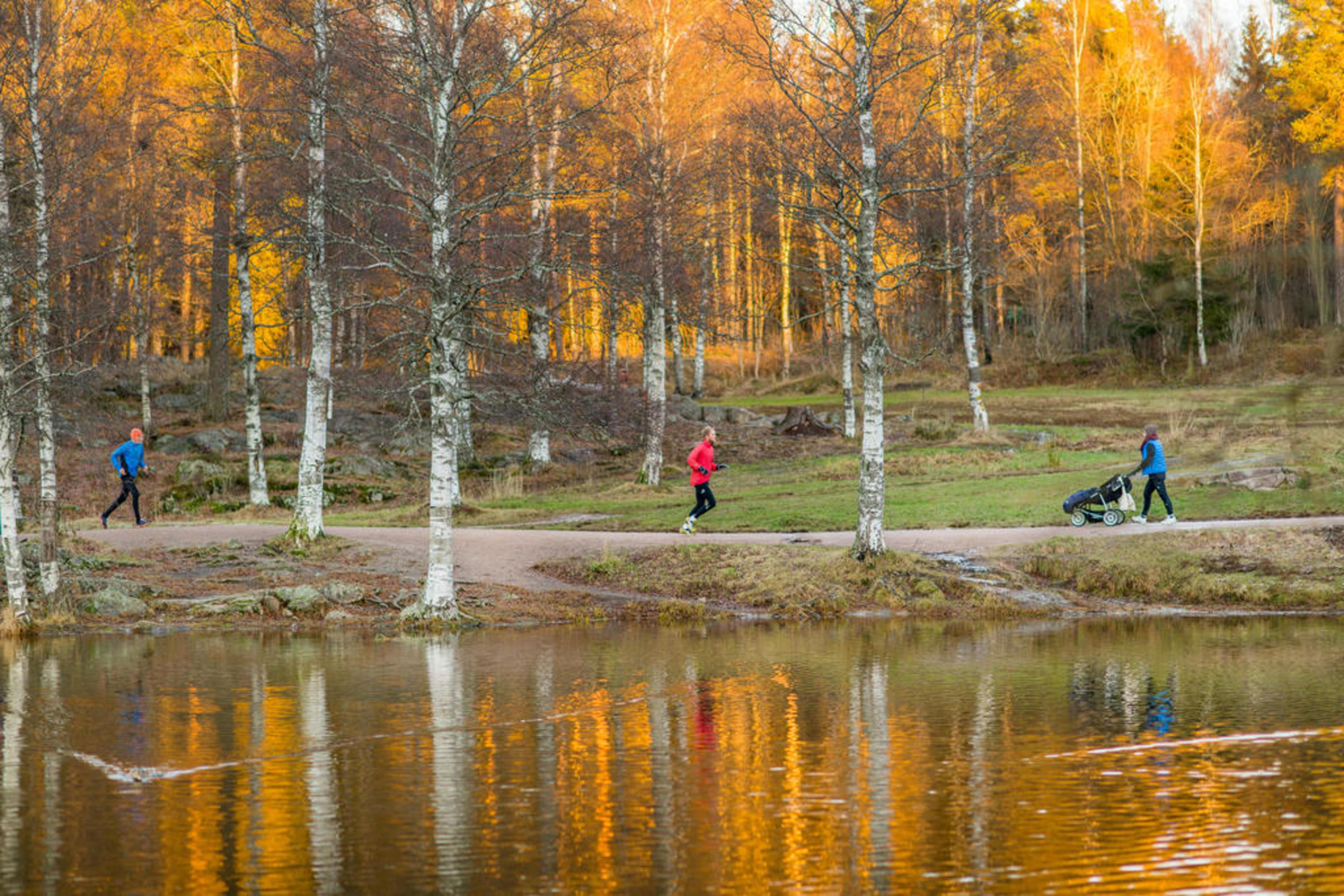 Varios Scandic Olympiatoppen Sportshotel
