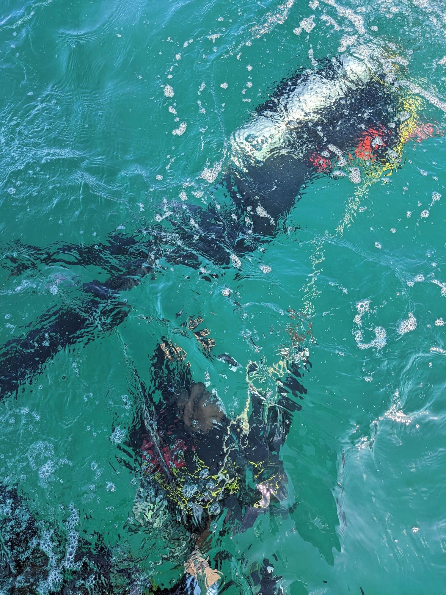 Instalaciones Recreativas Mafia dream hotel