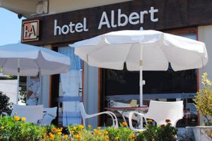 Alojamiento - Hotel Albert