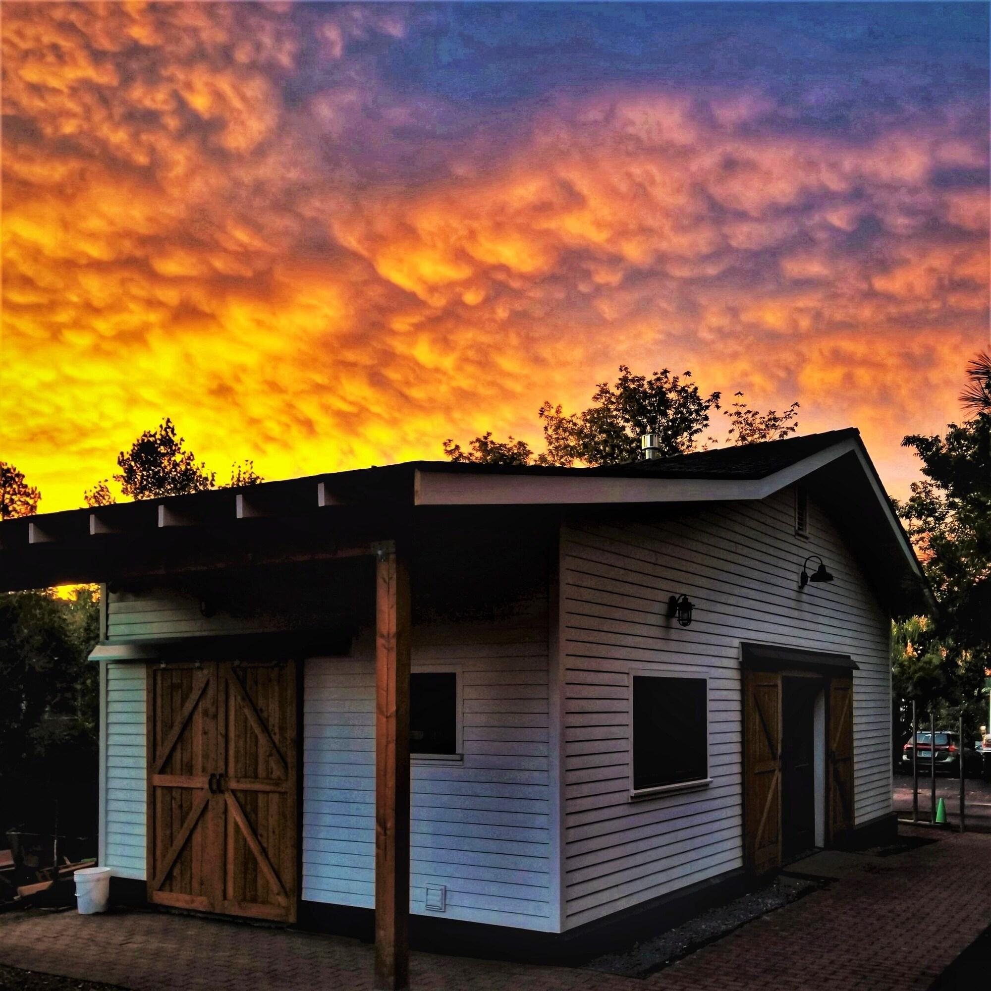Instalaciones Recreativas Bunk+Brew Historic Lucas House - Hostel