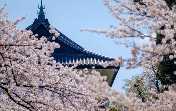 Oakwood Premier Tokyo