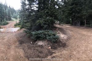 Alquiler Vacacional - Rico1    .