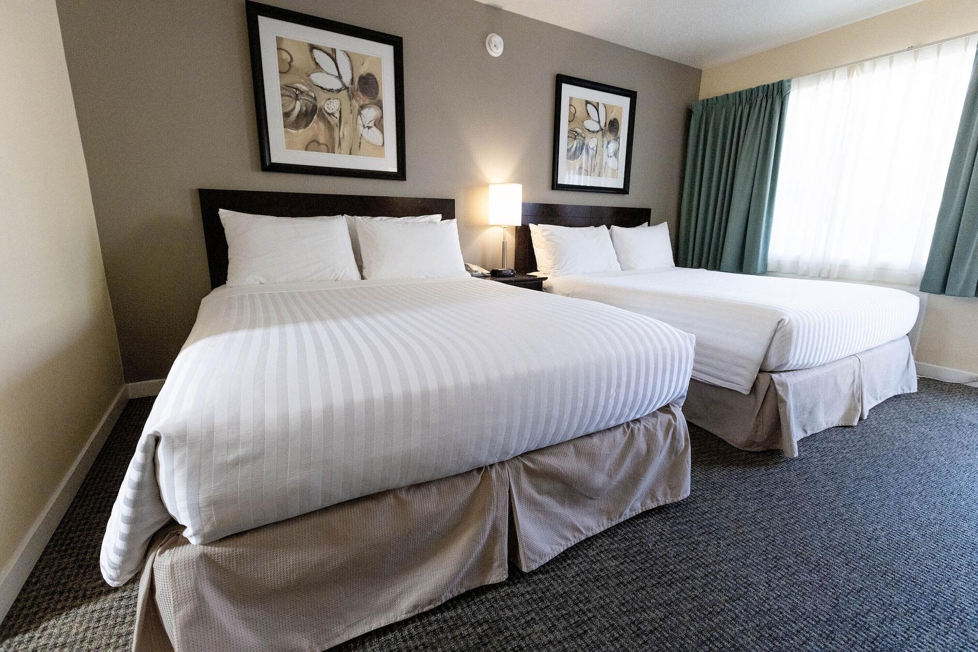 Habitación Siesta Suites