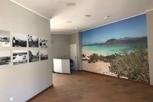 Alquiler Vacacional - Blue Ocean Corralejo: sunny terrace, pool, wifi, 500m from main strip& beaches