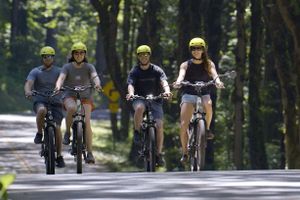 Actividad - Alquiler de bicicleta eléctrica en las cataratas de Multnomah