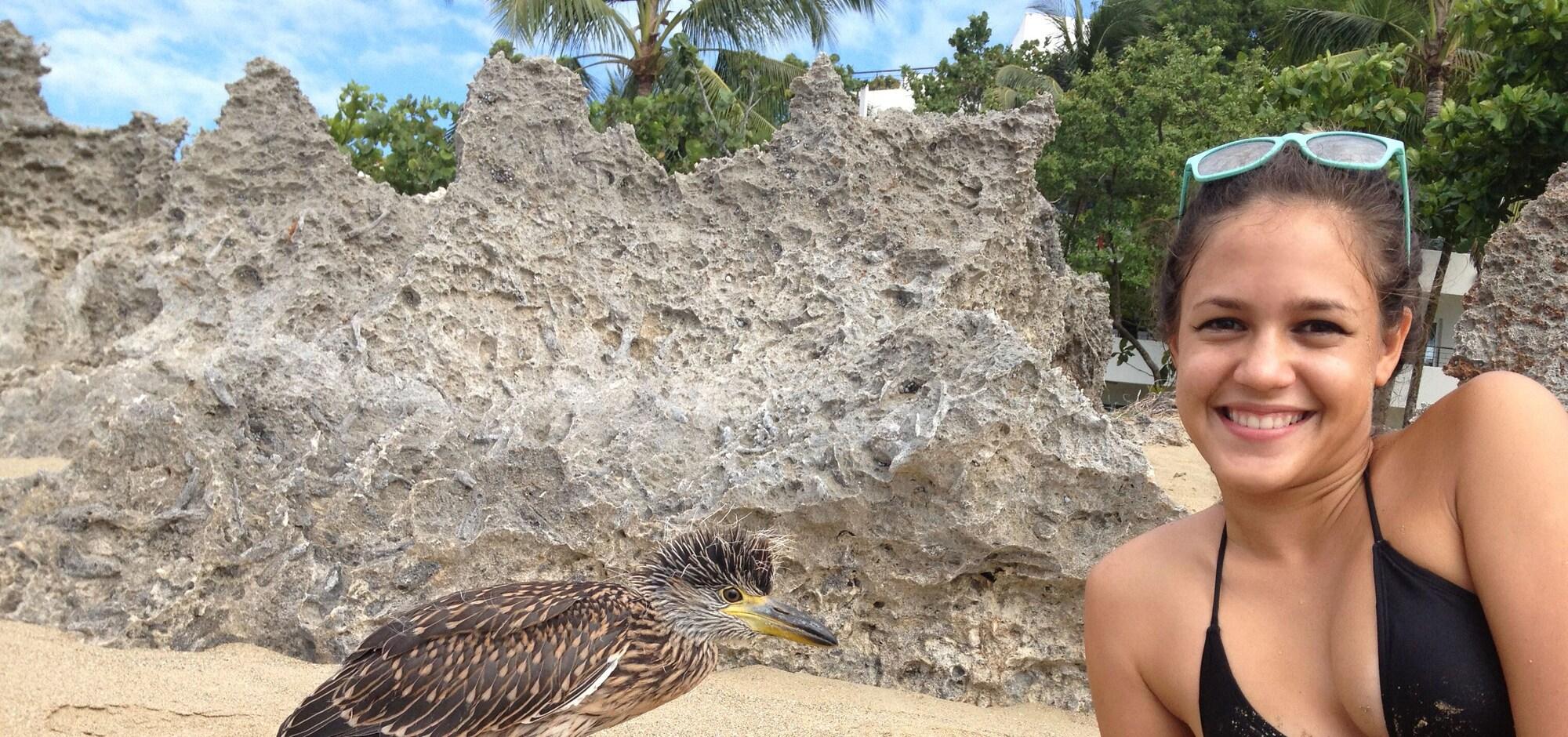 Playa Instyle Residences at Infiniti Blu