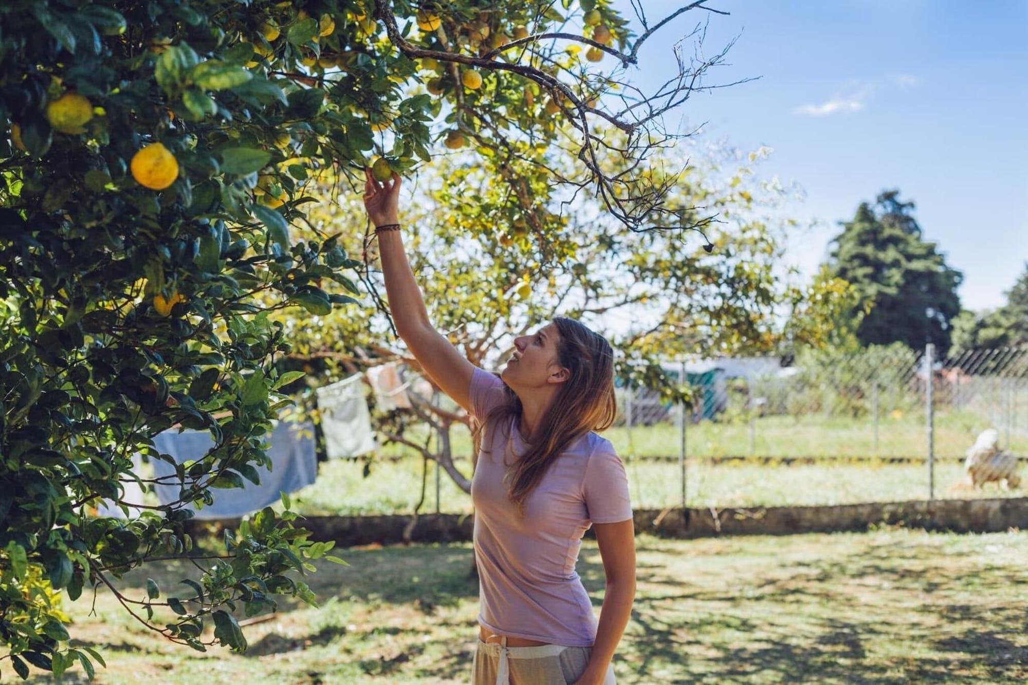 Gimnasio Spanish by the River - Boquete - Hostel
