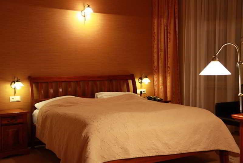Habitación Hotel Zlaty Lev Zatec
