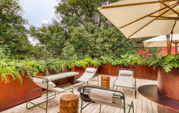Casa Tasman - Hoteles en Condesa de Ciudad de México