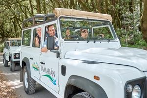 Actividad - Recorrido en todoterreno por La Gomera
