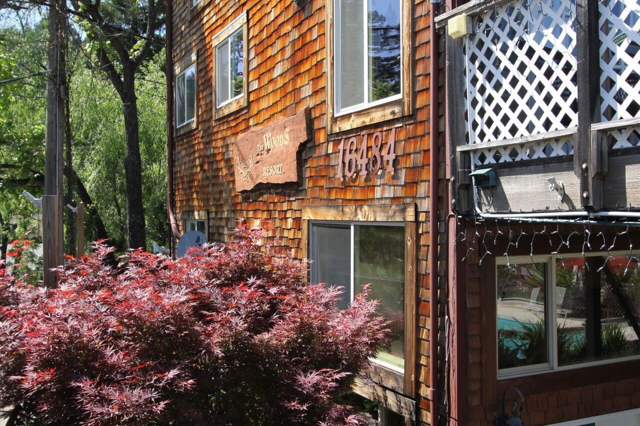 Vista Exterior The Woods Hotel - Gay LGBTQ Cabins