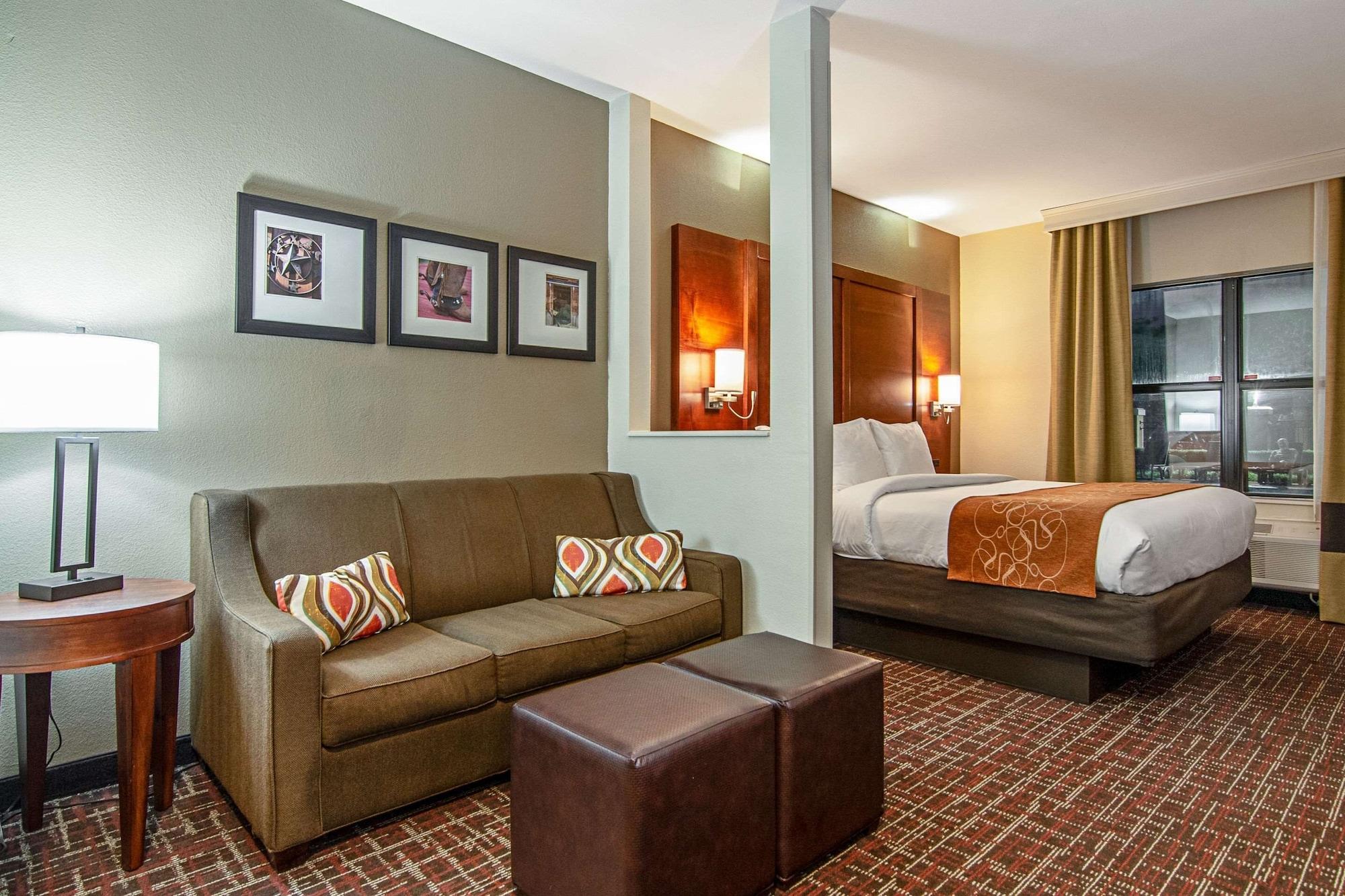 Habitación Comfort Suites NW Dallas Near Love Field