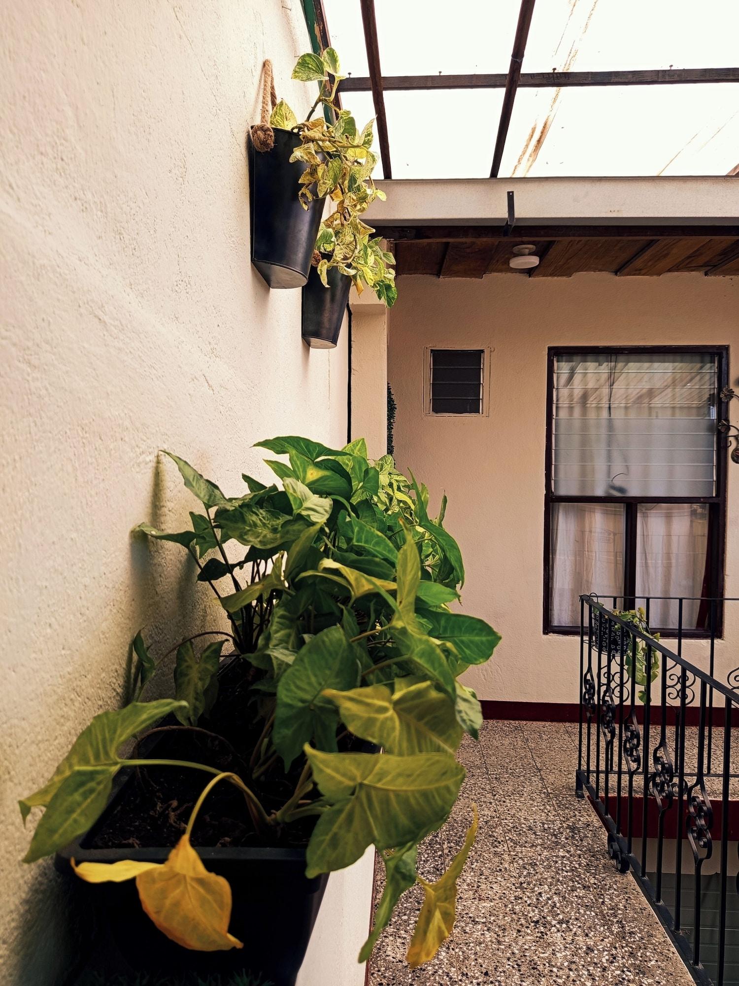 Vista Exterior Emmanuel House GT