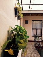 Alojamiento - Emmanuel House GT