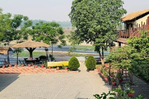 Alojamiento - Jungle Wildlife Camp