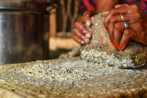 Alojamiento - Bundeli Camps and Resorts, Panna