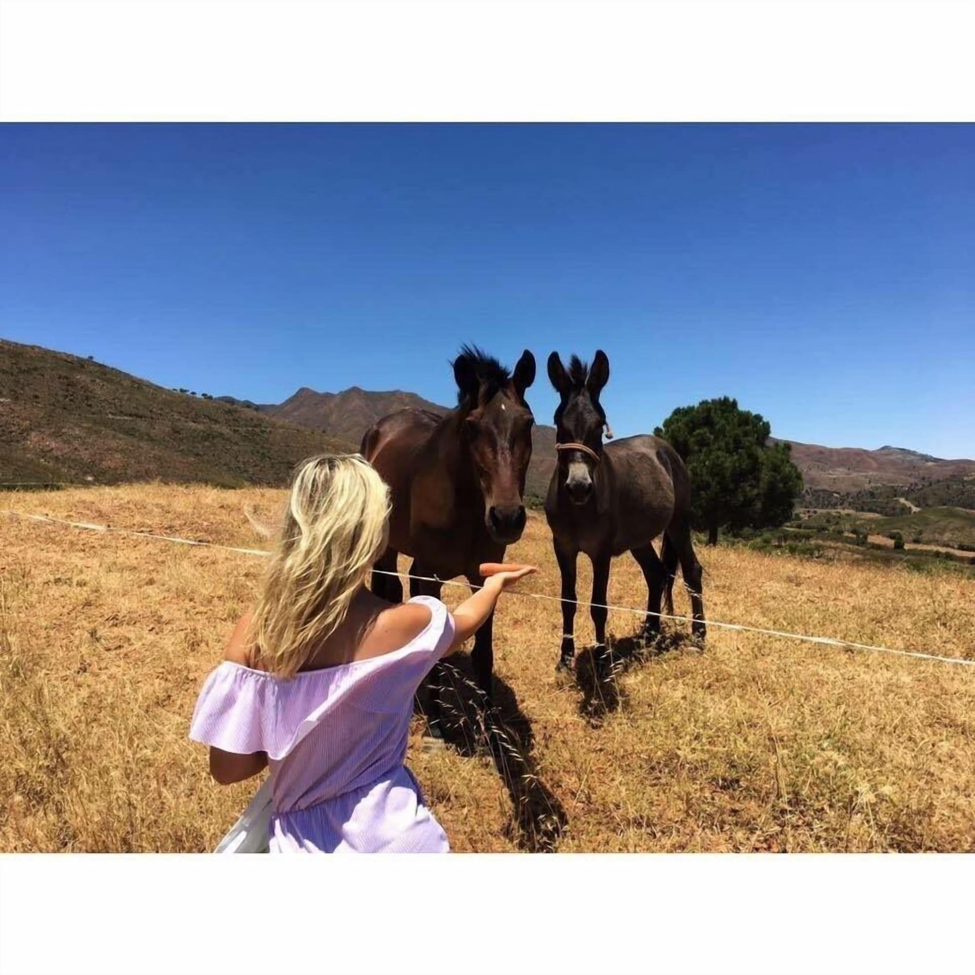 Varios La Careza De Mijas