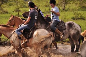 Actividad - Cabalgatas salteñas