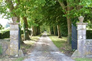 Alojamiento - Chateau De Flottemanville