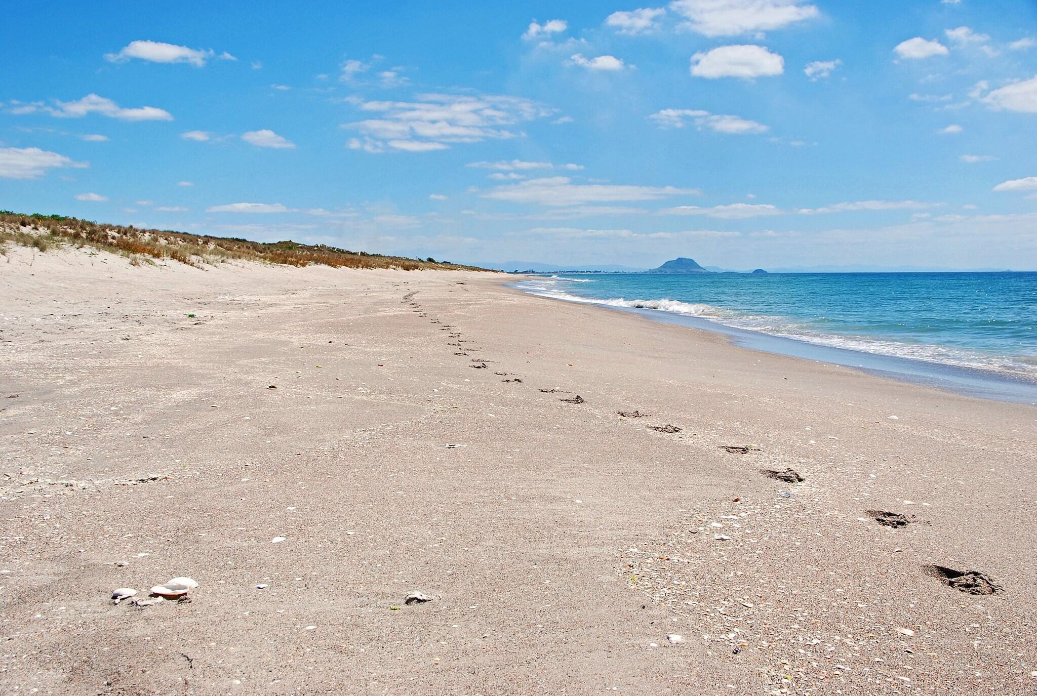 Playa Bay Palm Motel