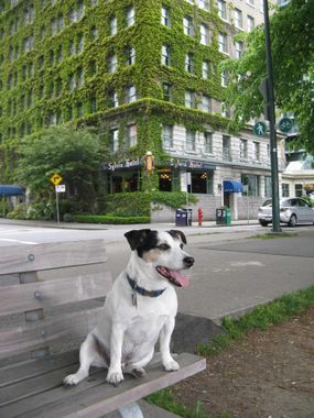 Sylvia Hotel