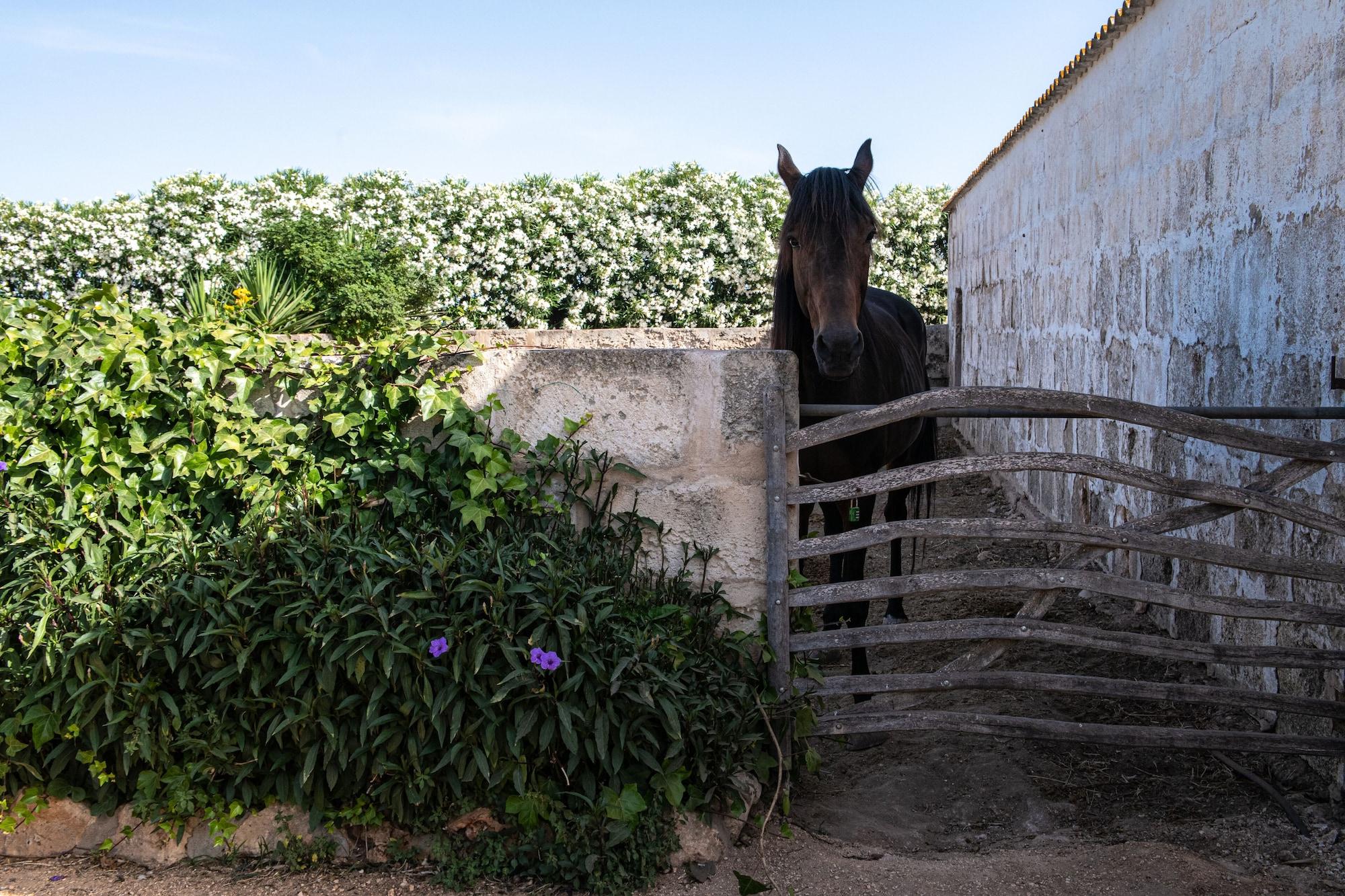 Vista Exterior Agroturismo Son Juaneda