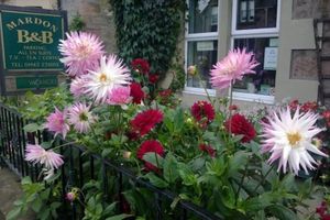 Alojamiento - Mardon Guest House