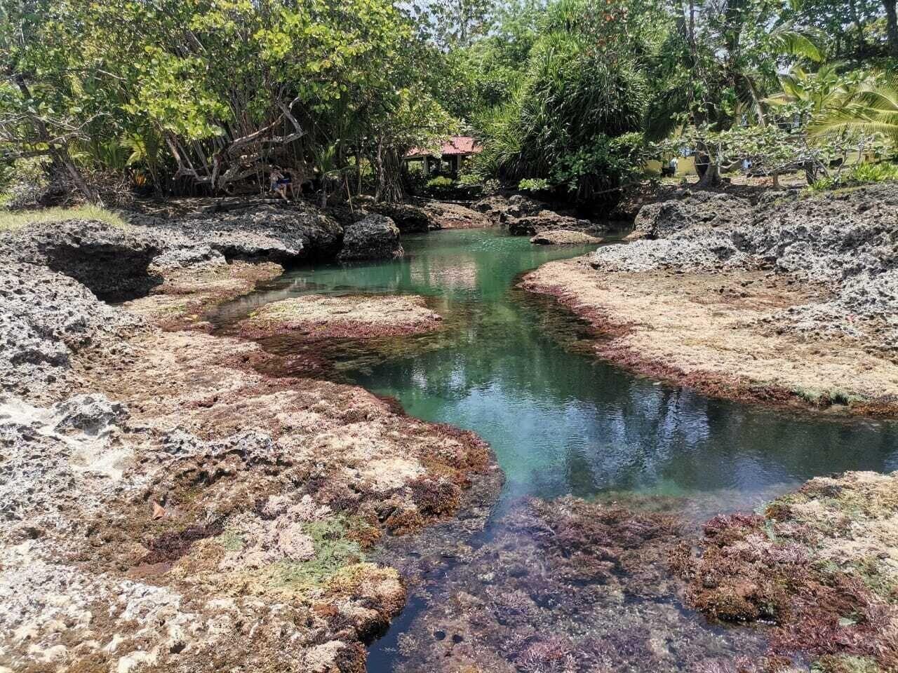 Playa Hotel Villas y Glampings MyA, Puerto Viejo, Limon, C.R