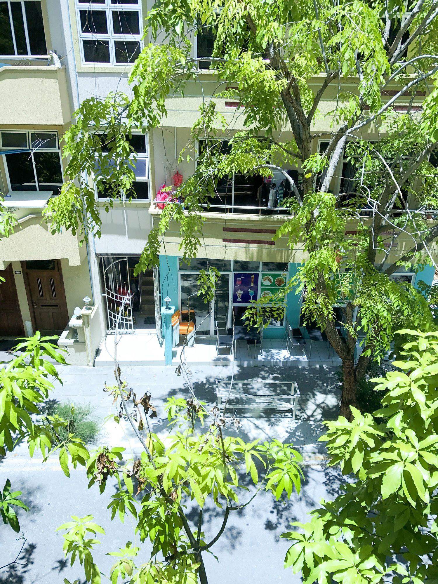 Vista Exterior Summer Reef