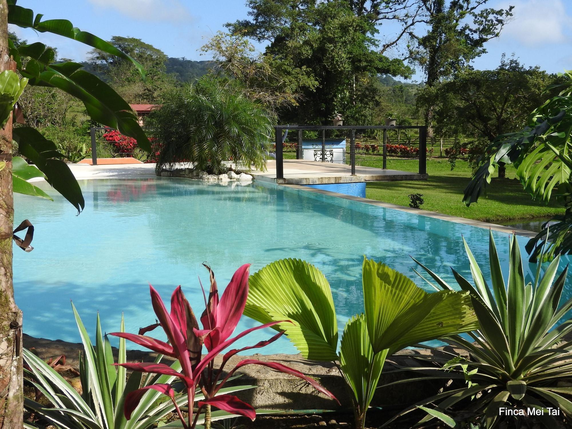 Varios Mei Tai Cacao Lodge