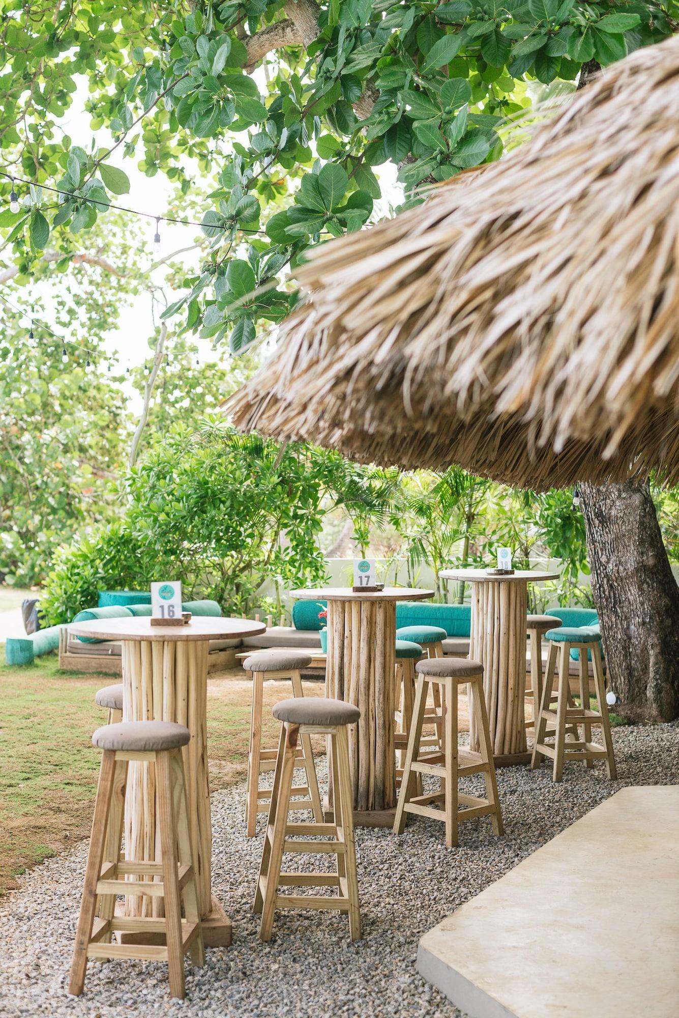 Bar/Salón Mosquito Boutique Hotel