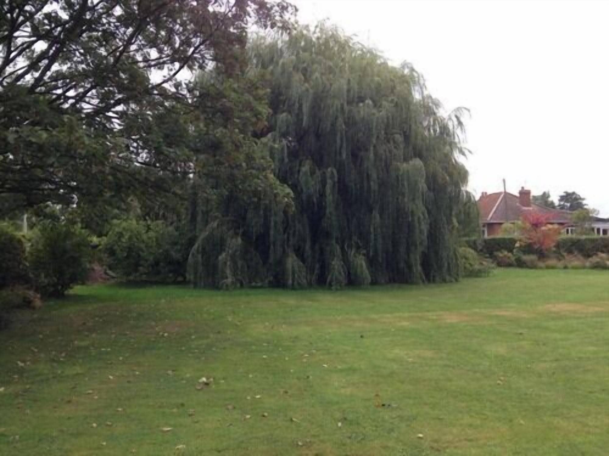 Comodidades del Alojamiento Primrose Lodge B&B