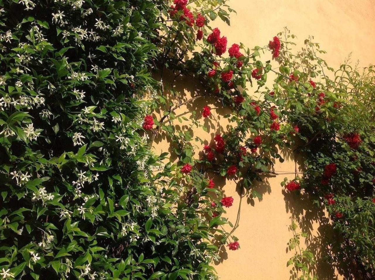 Vista Exterior Albergo Giardinetto