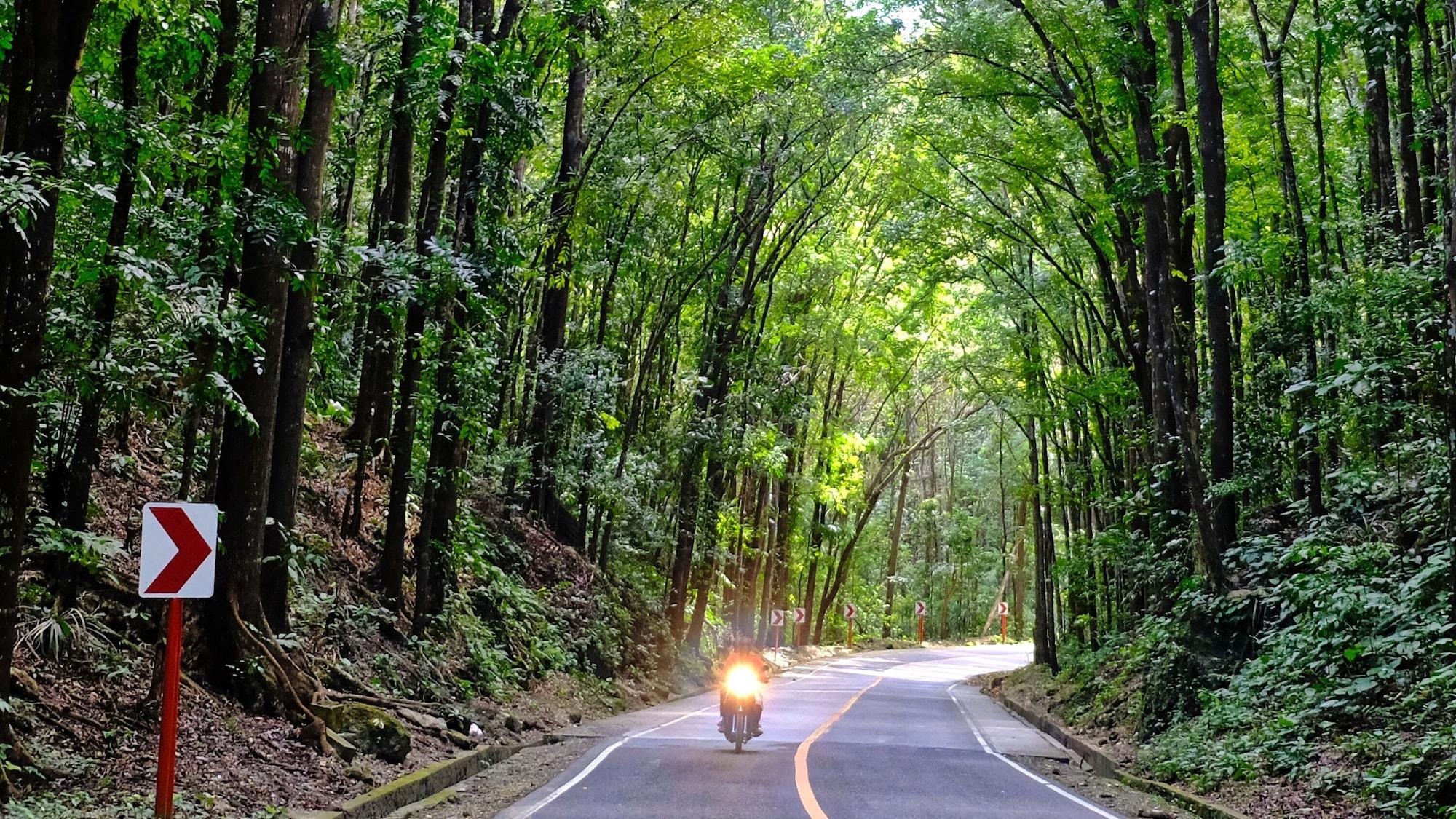 Instalaciones Recreativas Loboc River Resort