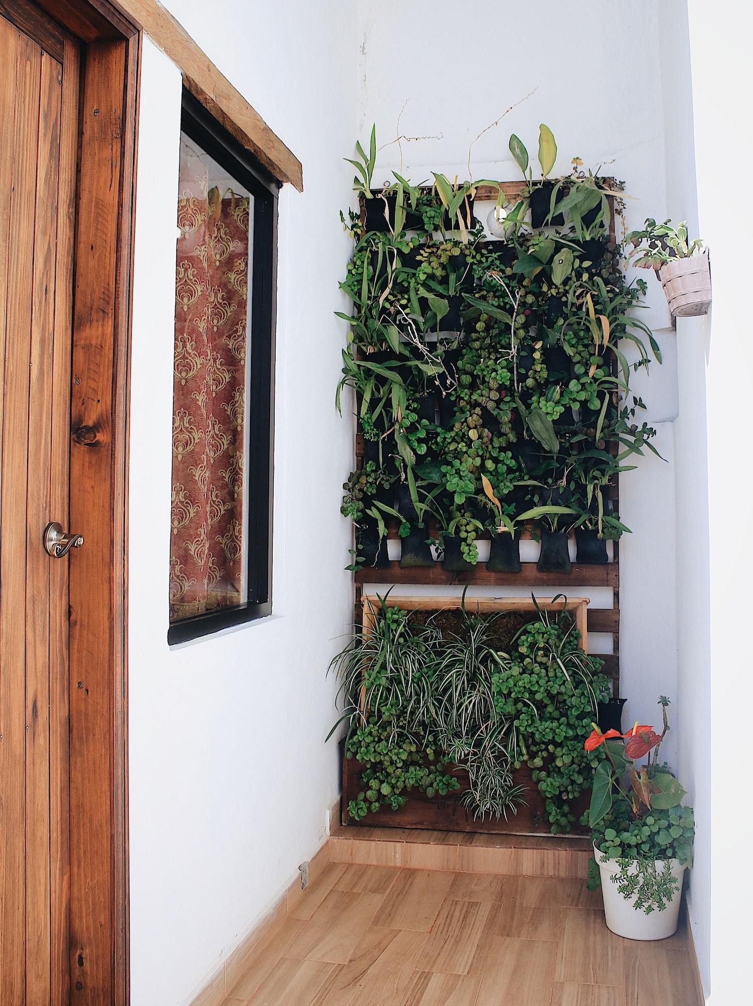 Varios Ganesha Hotel