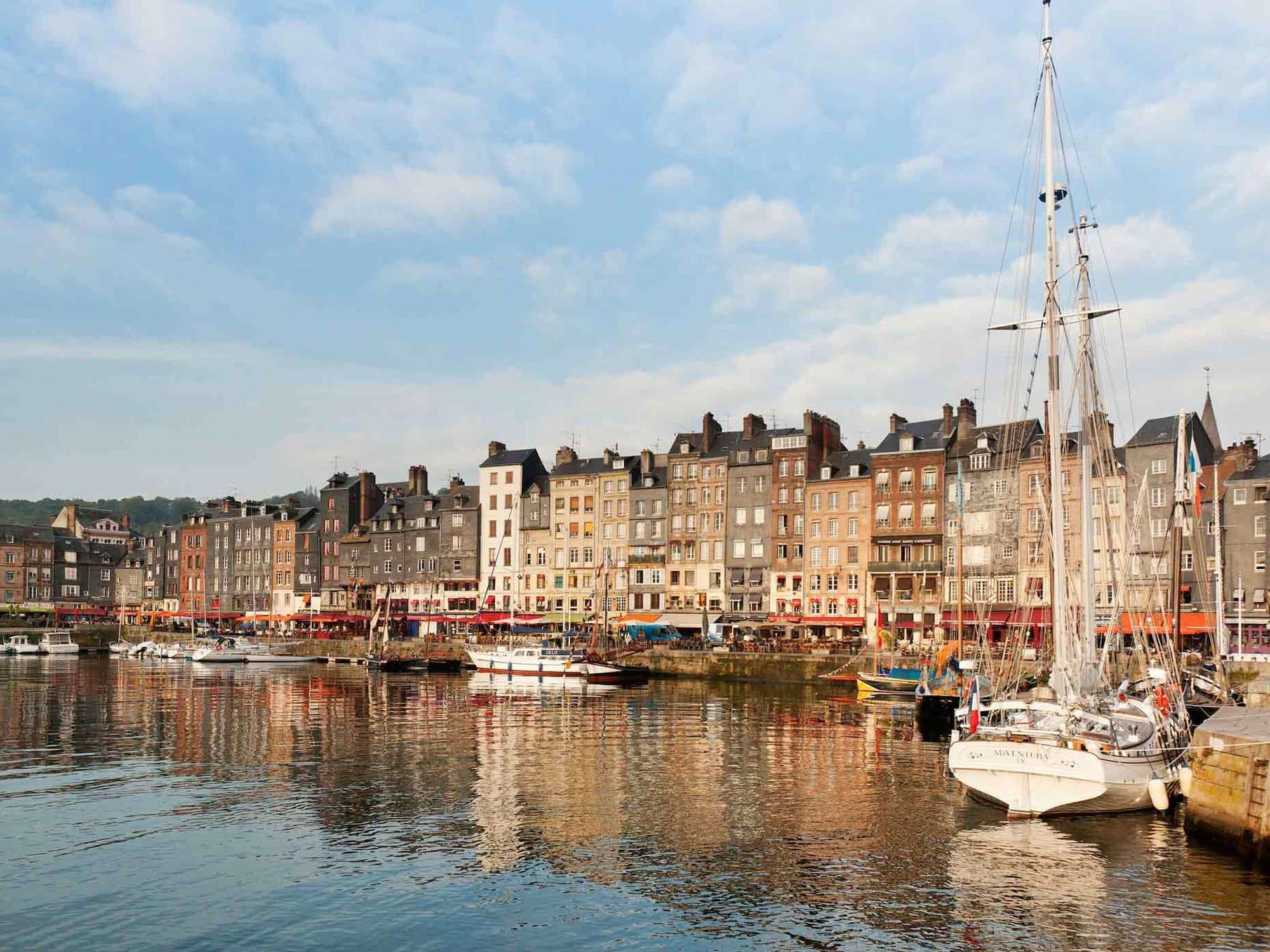 Varios ibis Honfleur