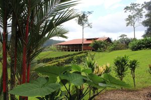 Alojamiento - La Anita Rainforest Ranch