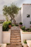 Alojamiento - Masseria Auraterrae