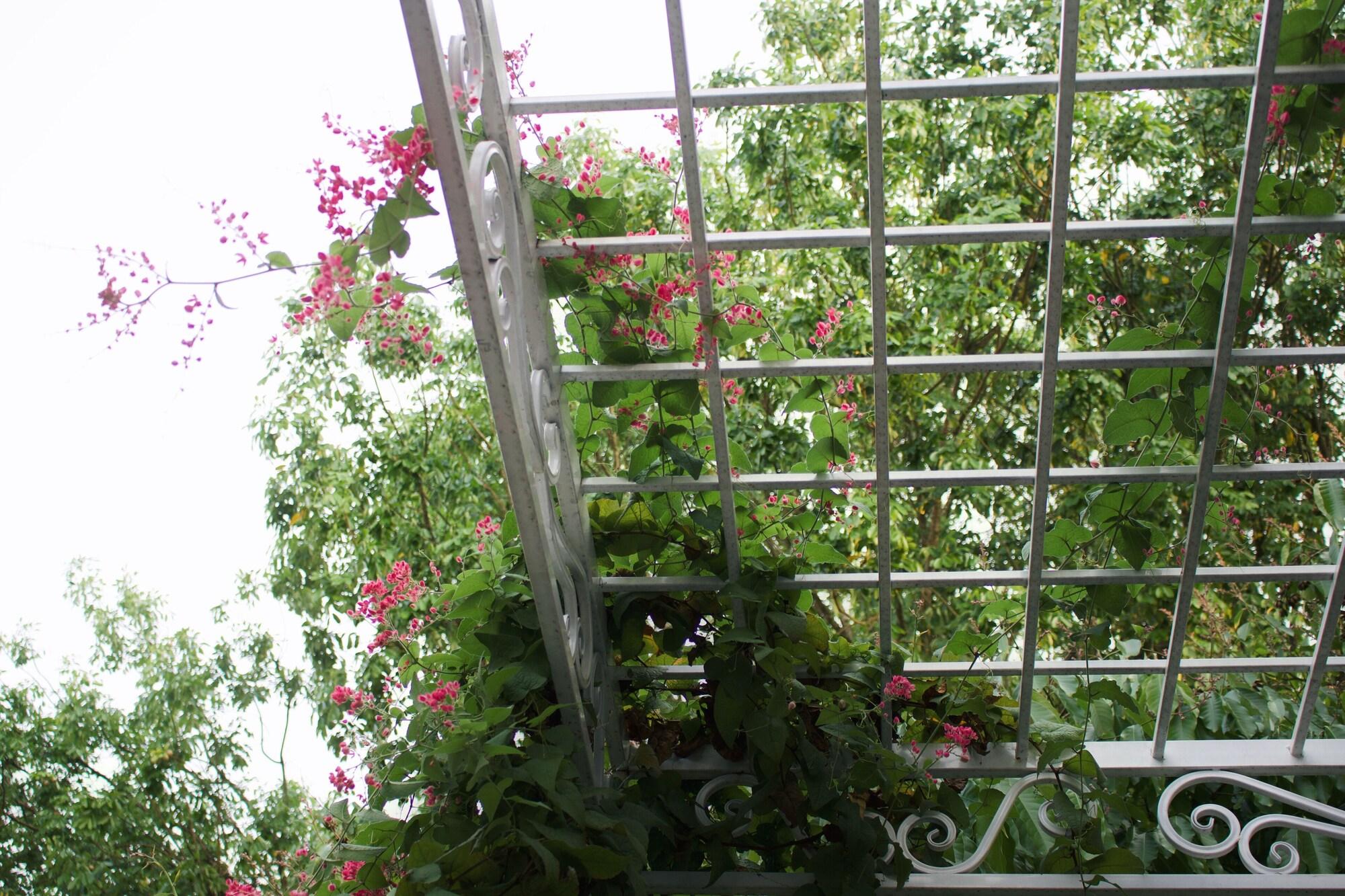 Equipamiento de Habitación Indigen Boutique Hotel Cao Bang