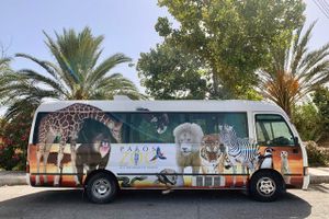 Actividad - Entrada al zoológico de Pafos