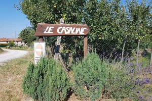 Alojamiento - Agriturismo Le Casaline