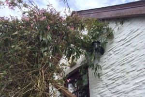 Alojamiento - Jabajak Vineyard Restaurant With Rooms